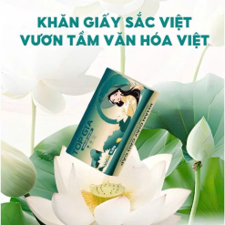 Giấy Ăn Top Gia Cô Gái Túi 10 Gói - GIAYTOPGIACOGAI