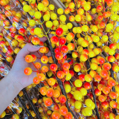 Combo 10 cành đông đào vàng 12 nhánh - COMBO10CNH