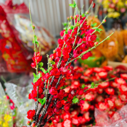 1 Cành Hoa Đào Cổ - Mẫu Ngắn - 1CNHHOAO