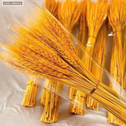 1 Bó Bông Lúa - 1BBNGLA