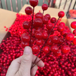 Combo 10 nhánh ĐÔNG ĐÀO - NHÁNH NHỎ - COMBO10NHNH