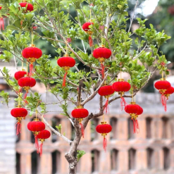 1 Bịt LỒNG ĐÈN NHUNG - Loại Bịt Hoặc 25 Trái - LNGNNHUNG