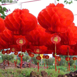 1 Túi 10 cái LỒNG ĐÈN GIẤY ( F15 / 12CM ) - 1TI10CILNGN01