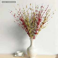 1 CÀNH CHÂU XOÈ KIM TUYẾN - 1CNHCHUXO