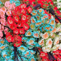 1 Cành HOA GẠO XỐP Nhiều Màu - 1CNHHOAGO