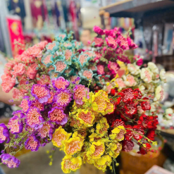 Combo 10 Cành HOA GẠO XỐP Nhiều Màu ( 10 Cành) - COMBO10CNHHOA