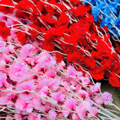 1 CÀNH ĐÀO RÂU - 1CNHORU