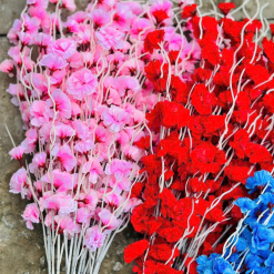 Combo 10 CÀNH ĐÀO RÂU Nhiều Màu - COMBO10CNHO