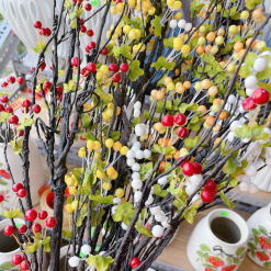 1 CÀNH CHERRY CỔ - 1CNHCHERRYC