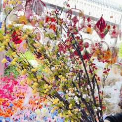 1 CÀNH CHERRY CỔ - 1CNHCHERRYC