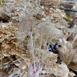 1 DẺ QUẠT ĐỒNG 3 NHÁNH - 1DQUTNG