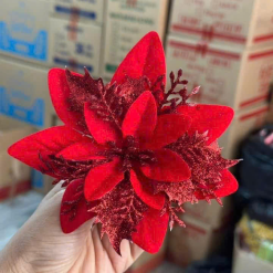 1 HOA TRẠNG NGUYÊN - 1HOATRNGNGUYN