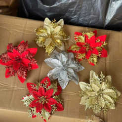 1 HOA TRẠNG NGUYÊN - 1HOATRNGNGUYN