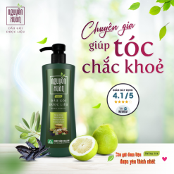 Dầu Gội Dược Liệu Nguyên Xuân Cho Tóc Hư Tổn 450ml - Xanh Lá Đậm - DGTDNXXLD450