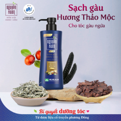 Dầu Gội Nguyên Xuân Dược Liệu Sạch Gàu 450ml - Xanh Dương Đậm - DGTDNXXDD450