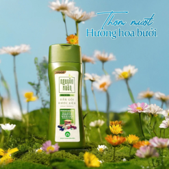 Dầu Gội Nguyên Xuân Dược Liệu Dưỡng Tóc Hương Bưởi 250ml - Xanh Lá Nhạt - DGTDNXXLN250