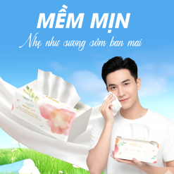 1 Thùng Giấy Ăn 20 Gói Topgia Sương Mai - TOPGIASMTHUNG20