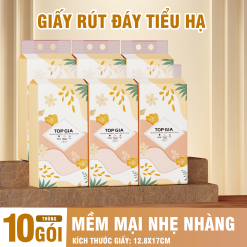 1 Thùng 10 Bịch Giấy Vệ Sinh Rút Đáy Topgia Tiểu Hạ - TOPGIATHTHUNG10