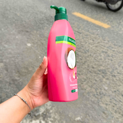 Dầu Gội Xả Palmolive Naturals Intensive Moisture Chiết Xuất Sữa Dừa 600ml - 8850006930526