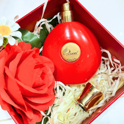 Set Hộp Quà Tặng Nước Hoa Nữ Charme Adore 50ml - Hộp Hoa Rơm Nhiều Màu - SETQUACHARME30