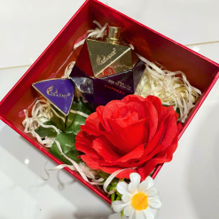 Set Hộp Quà Tặng Nước Hoa Nữ Good Charme Empress 50ml - Hộp Hoa Rơm Nhiều Màu - SETQUACHARME35