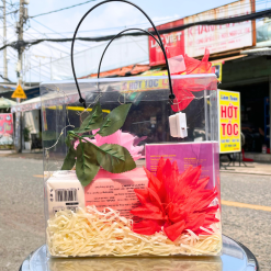 Set Quà Tặng Nước Hoa Nữ Charme Chance 50ml Hương Thơm Cá Tính Tươi Mát -Túi Trong Vuông Có Đèn Đom Đóm Lót Giấy Rơm Thắt Nơ Xinh Xắn Nhiều Màu - SETQUACHARME43