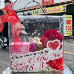 Set Hộp Quà Tặng Nước Hoa Nữ Charme Sì 25ml - Túi Trong Vuông Có Đèn Đom Đóm Lót Giấy Rơm Thắt Nơ Xinh Xắn Nhiều Màu - SETQUACHARME47