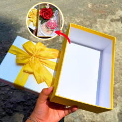 Hộp Quà Giấy Chữ Nhật Lớn Nhiều Màu Nắp Rời Có Thắt Nơ - Hộp Không Có Hoa Rơm - HOPQUAGIAY03