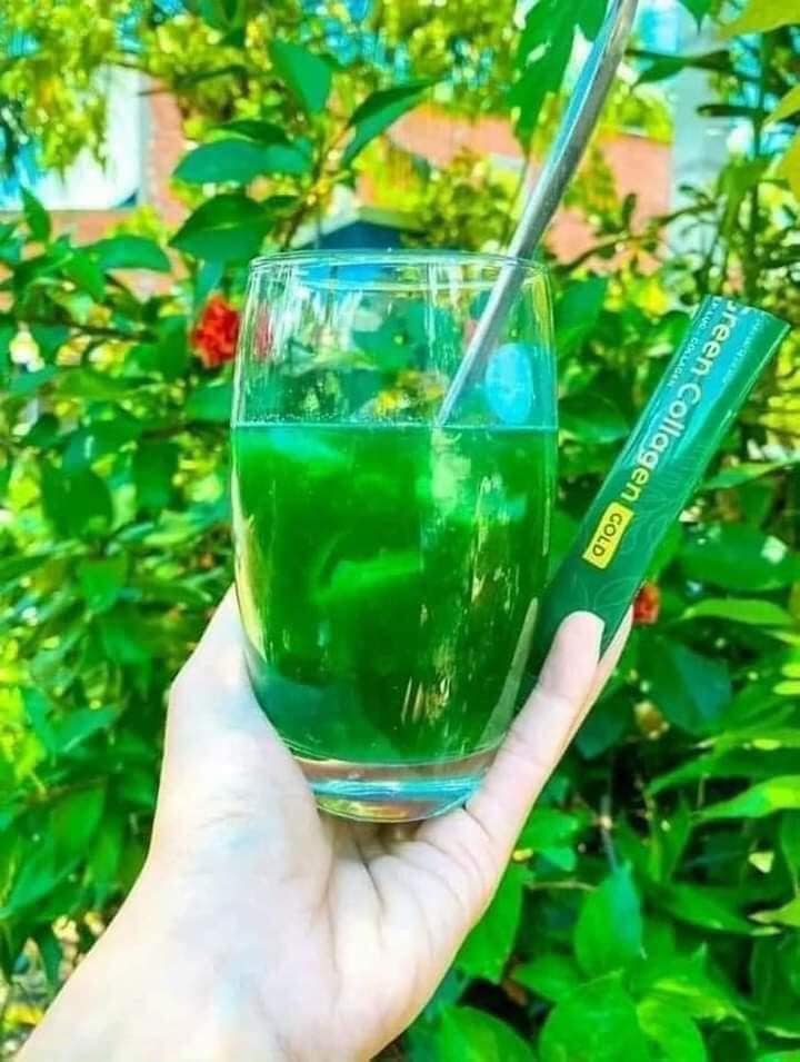 Diệp lục Collagen Green Gold giúp da đẹp căng bóng chống lão hoá tăng cường đề kháng sức khoẻ Diệp lục Collagen Green Gold giúp da đẹp căng bóng chống lão hoá tăng cường đề kháng sức khoẻ