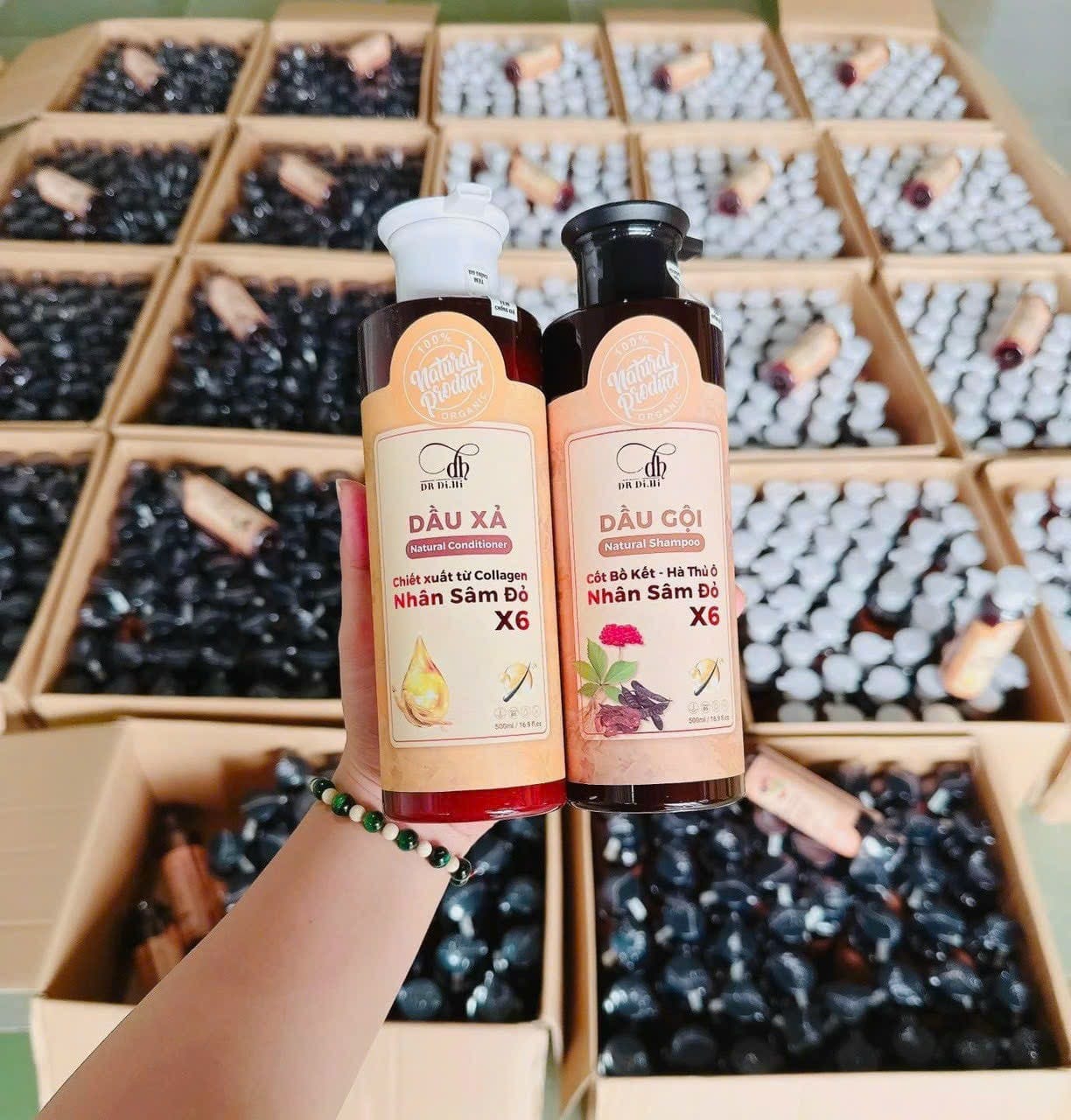 Chương trình siêu Hot điên đảo năm 2024 Siêu Bùng Nổ nhà Dr DiHi Chương trình siêu Hot điên đảo năm 2024 Siêu Bùng Nổ nhà Dr DiHi