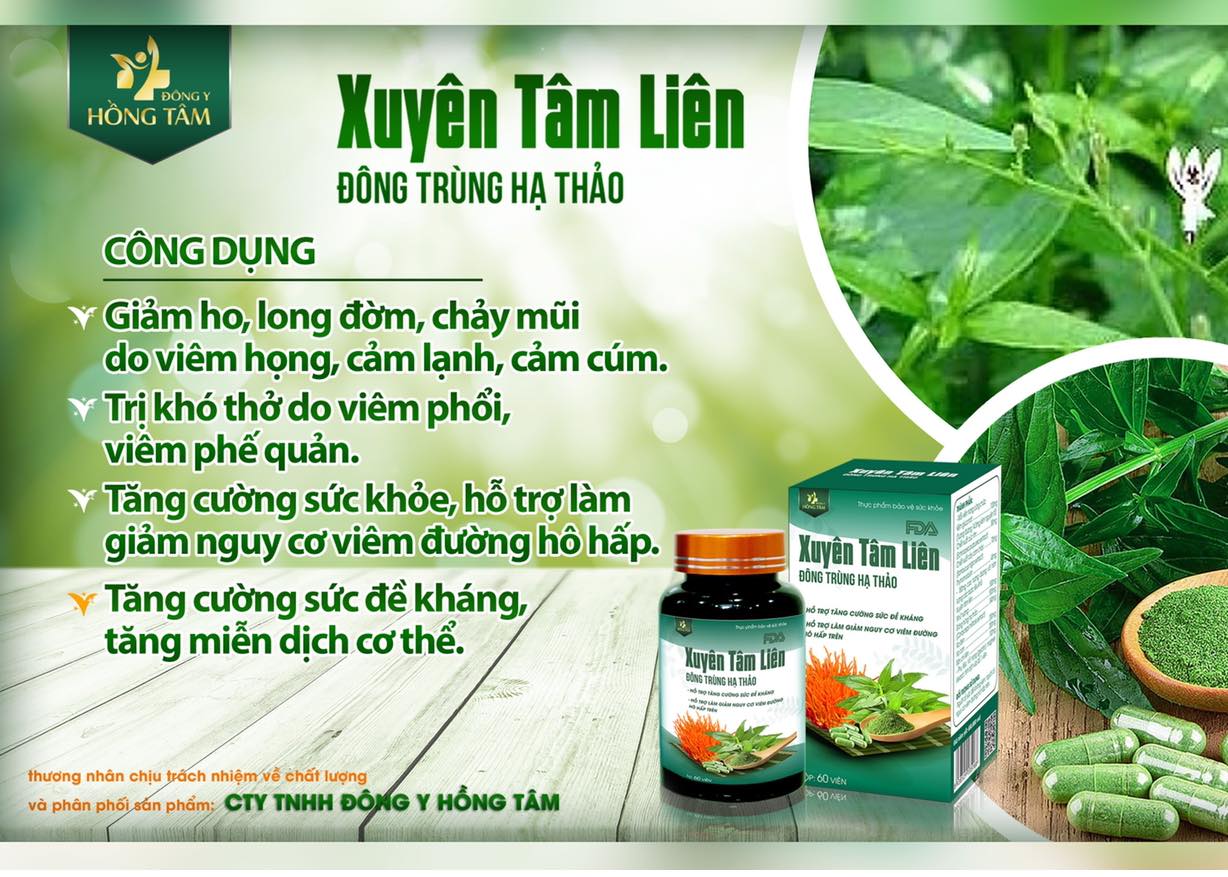 Xuyên tâm liên là từ khóa đc tìm kiếm nhiều nhất hiện nay Xuyên tâm liên là từ khóa đc tìm kiếm nhiều nhất hiện nay