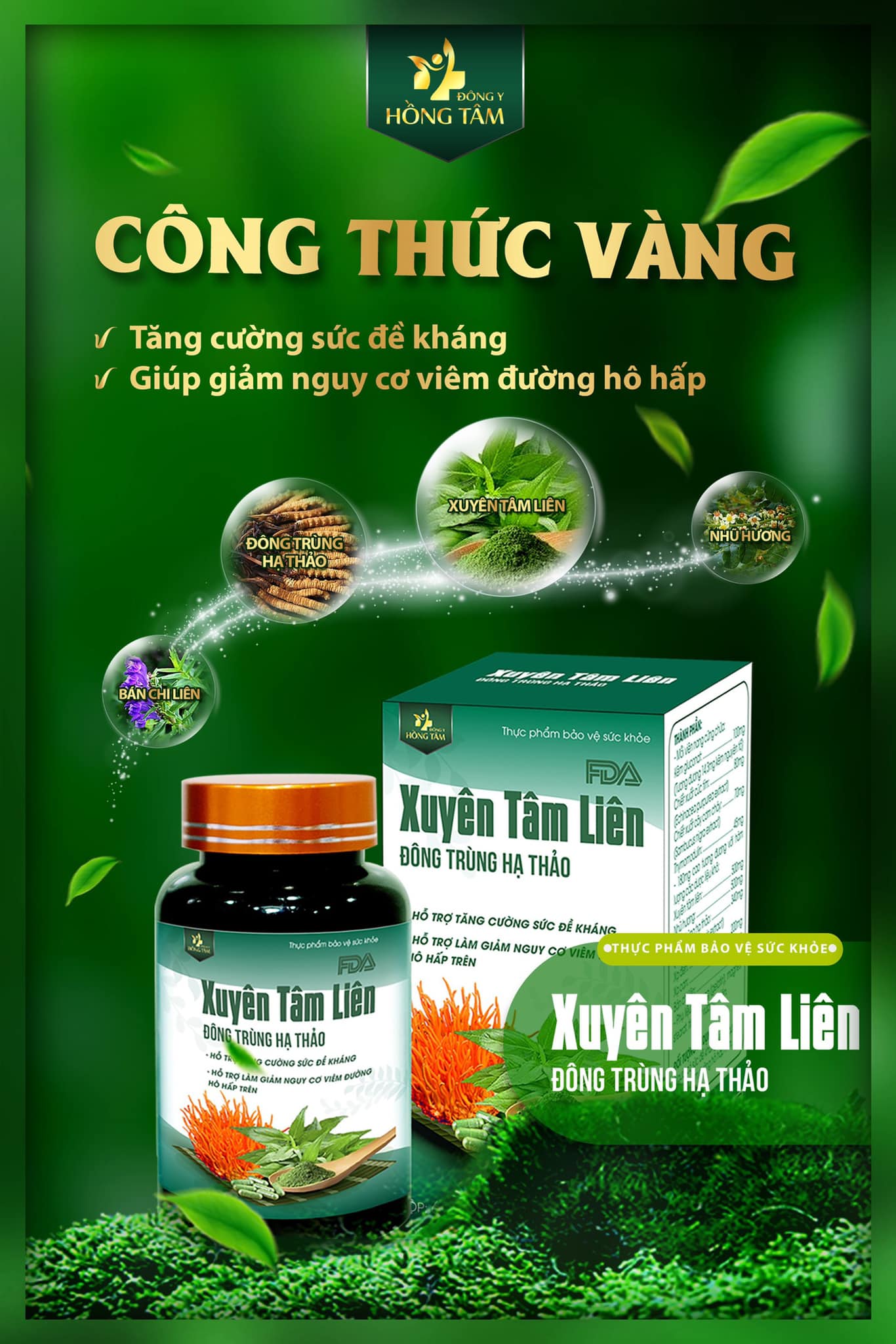 Xuyên tâm liên là từ khóa đc tìm kiếm nhiều nhất hiện nay Xuyên tâm liên là từ khóa đc tìm kiếm nhiều nhất hiện nay