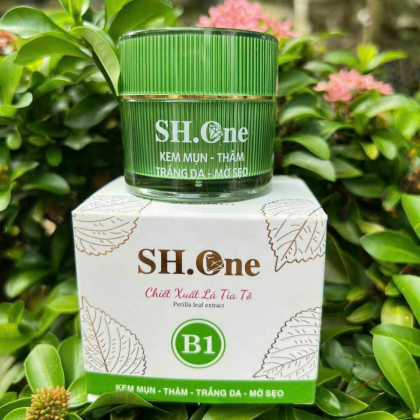 Kem Face Mụn Thâm B1 SH One Xanh Chiết Xuất Lá Tía Tô Kem Face Mụn Thâm B1 SH One Xanh Chiết Xuất Lá Tía Tô
