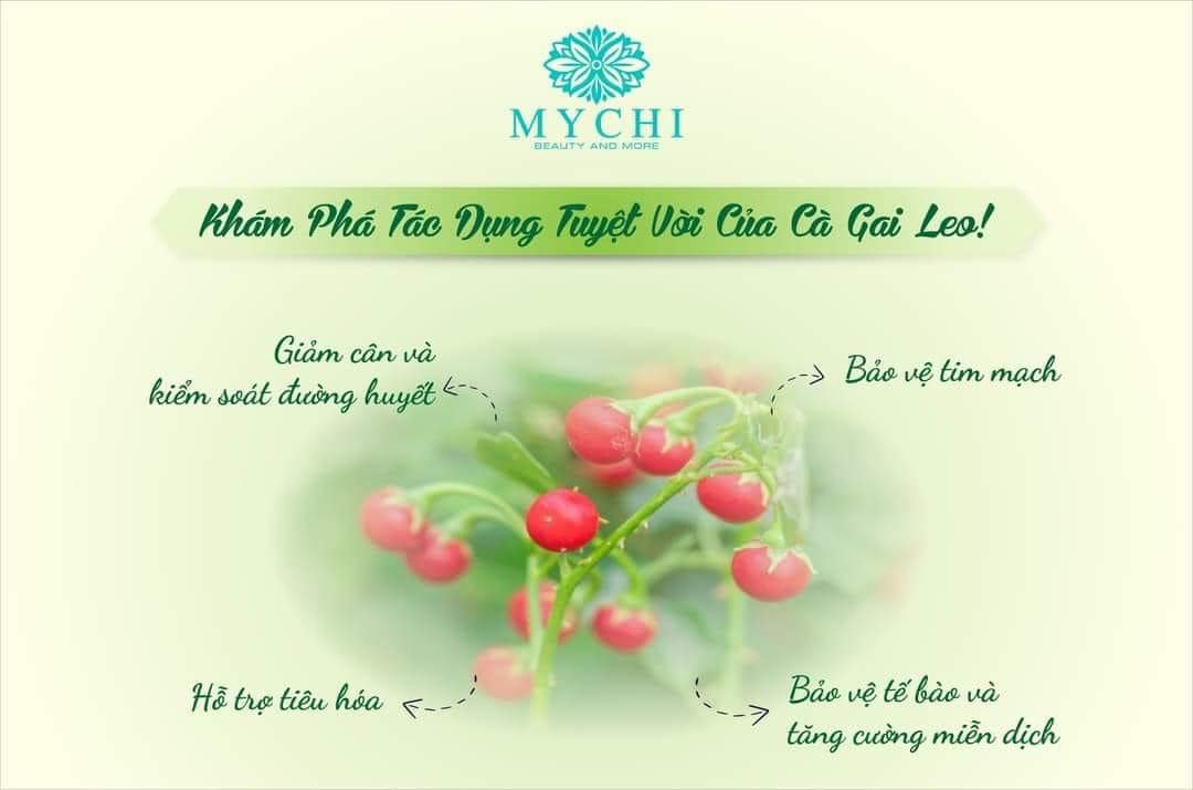 Trà lá ổi My Chi Trà lá ổi My Chi