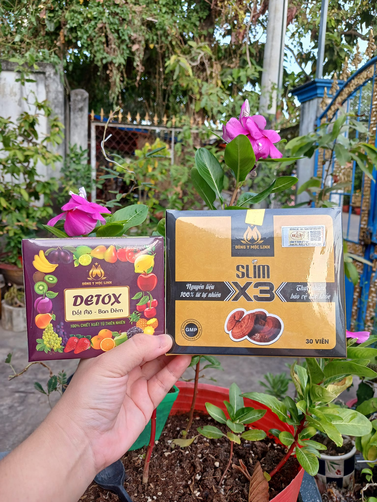 Giảm cân SlimX3 Đông y Mộc Linh dành cho cơ địa khó giảm Giảm cân SlimX3 Đông y Mộc Linh dành cho cơ địa khó giảm