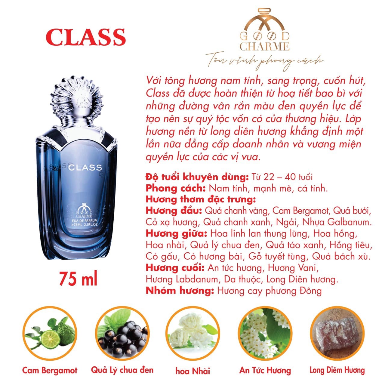 Charme Class là dòng nước hoa nam Charme Với tông mùi nam tính sang trọng cuốn hút Charme Class là dòng nước hoa nam Charme Với tông mùi nam tính sang trọng cuốn hút
