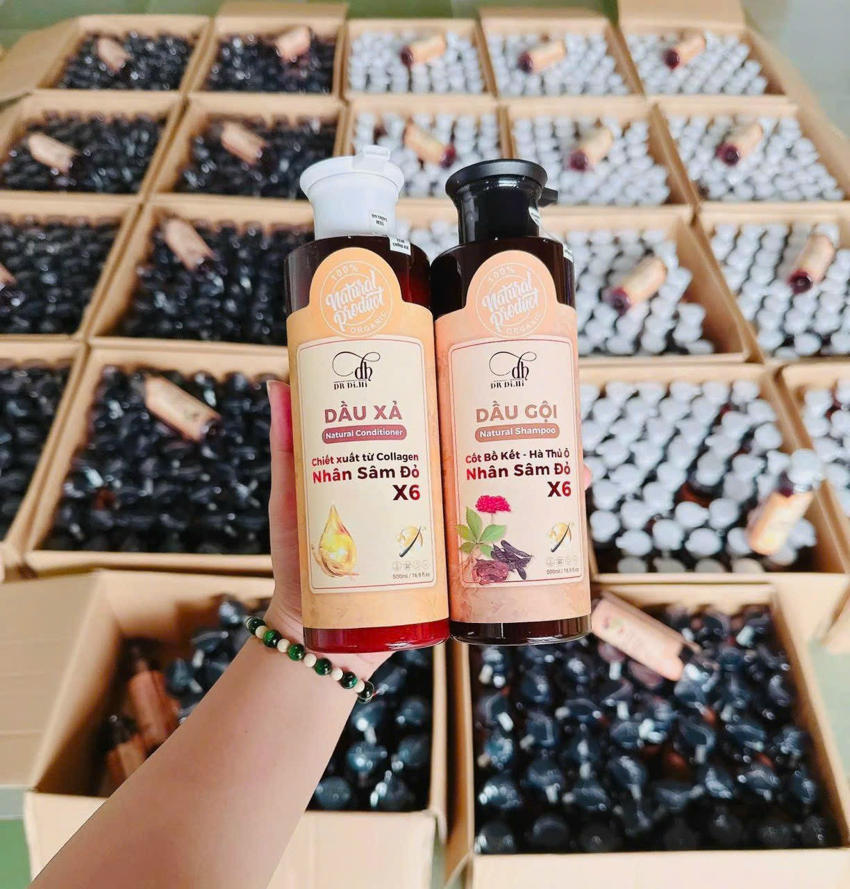 Combo Gội Xả Nhân Sâm Đỏ x6 Dr Di Hi Hỗ Trợ Mọc Tóc Giảm Gẫy Rụng Combo Gội Xả Nhân Sâm Đỏ x6 Dr Di Hi Hỗ Trợ Mọc Tóc Giảm Gẫy Rụng