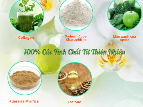 LỢI ÍCH KHI SỬ DỤNG DIỆP LỤC COLLAGEN: LỢI ÍCH KHI SỬ DỤNG DIỆP LỤC COLLAGEN: