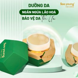 Kem Face Xanh Dưỡng Trắng Lục Tảo Soo Young – Green Algae Whitening Kem Face Xanh Dưỡng Trắng Lục Tảo Soo Young – Green Algae Whitening