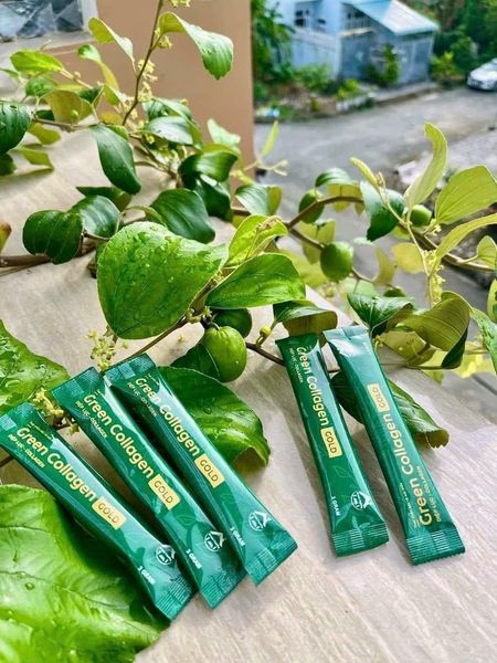 Diệp Lục Collagen Gold Hộp Lớn 30 Gói Diệp Lục Collagen Gold Hộp Lớn 30 Gói