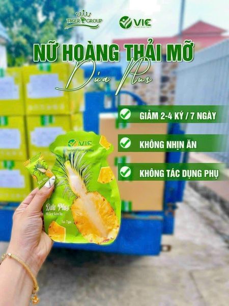 Kẹo dứa giảm cân VIC Plus 7 vị Kẹo dứa giảm cân VIC Plus 7 vị