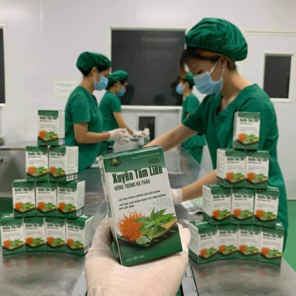 Viên uống Xuyên Tâm Liên Đông Trùng Hạ Thảo Đông Y Hồng Tâm Viên uống Xuyên Tâm Liên Đông Trùng Hạ Thảo Đông Y Hồng Tâm