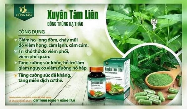 Viên uống Xuyên Tâm Liên Đông Trùng Hạ Thảo Đông Y Hồng Tâm Viên uống Xuyên Tâm Liên Đông Trùng Hạ Thảo Đông Y Hồng Tâm