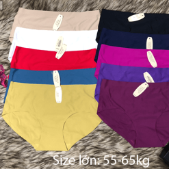 Quần đúc nữ Victoria cao cấp size to