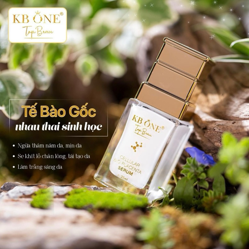 Serum Tế Bào Gốc Nhau Thai Sinh Học KB One Top Beau chính hãng Serum Tế Bào Gốc Nhau Thai Sinh Học KB One Top Beau chính hãng