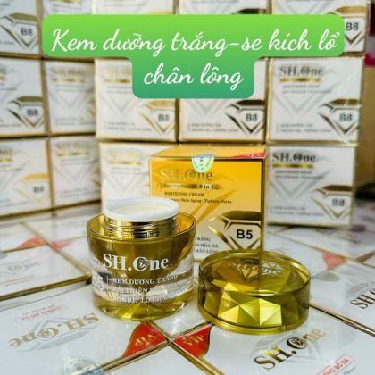 Kem Face SH One B5 Màu Vàng Kem Face SH One B5 Màu Vàng