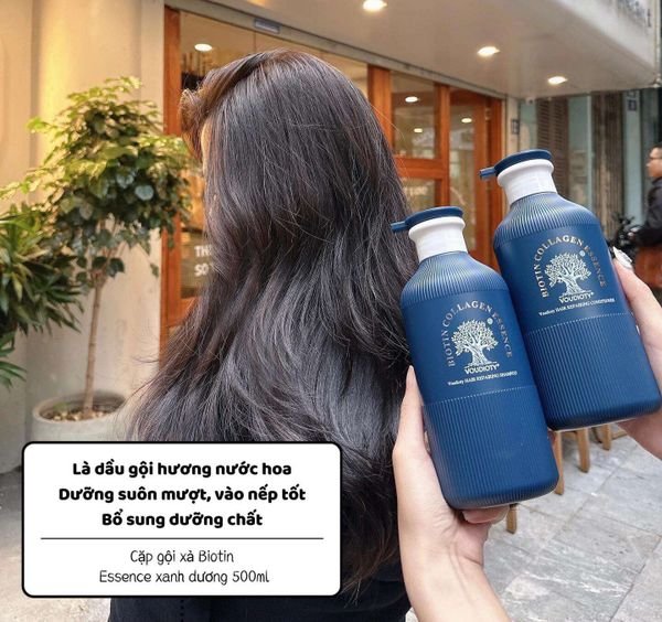 Dầu gội xả biotin và collagen Essence 500ml Mẫu mới xanh blue Dầu gội xả biotin và collagen Essence 500ml Mẫu mới xanh blue