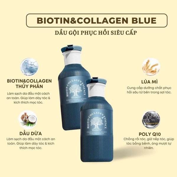 Dầu gội xả biotin và collagen Essence 500ml Mẫu mới xanh blue Dầu gội xả biotin và collagen Essence 500ml Mẫu mới xanh blue