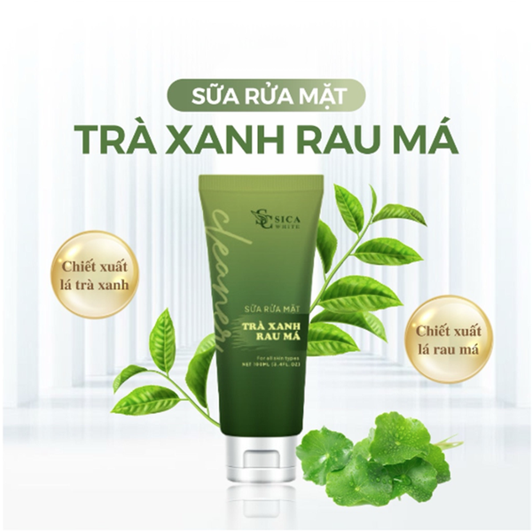 Sữa Rửa Mặt Sica White Trà Xanh Rau Má Hỗ trợ ngăn ngừa mụn ức chế sự tăng trưởng của các loại vi khuẩn Sữa Rửa Mặt Sica White Trà Xanh Rau Má Hỗ trợ ngăn ngừa mụn ức chế sự tăng trưởng của các loại vi khuẩn