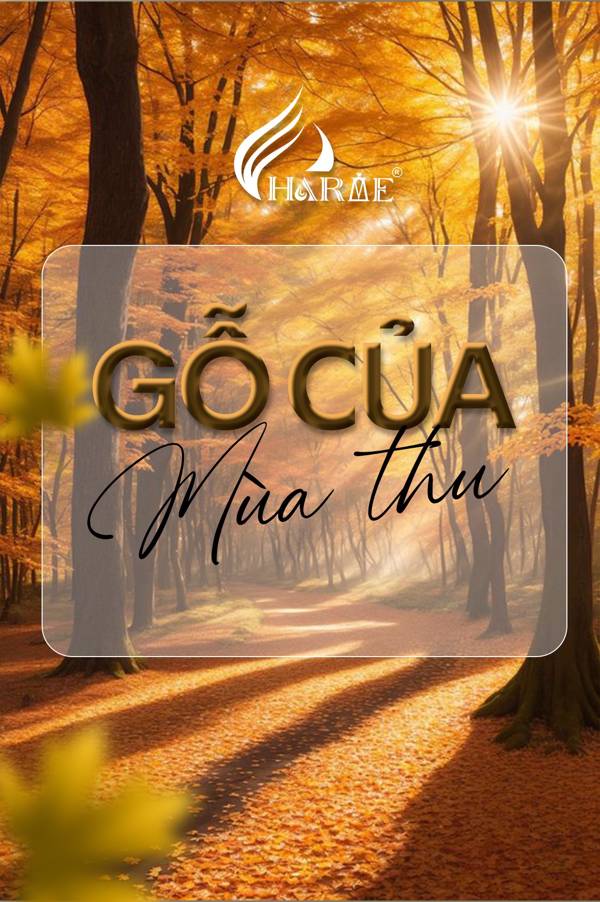 Tiết trời dịu mát của đêm thu khiến vạn vật tỏa hương dịu dàng cân bằng dễ mến